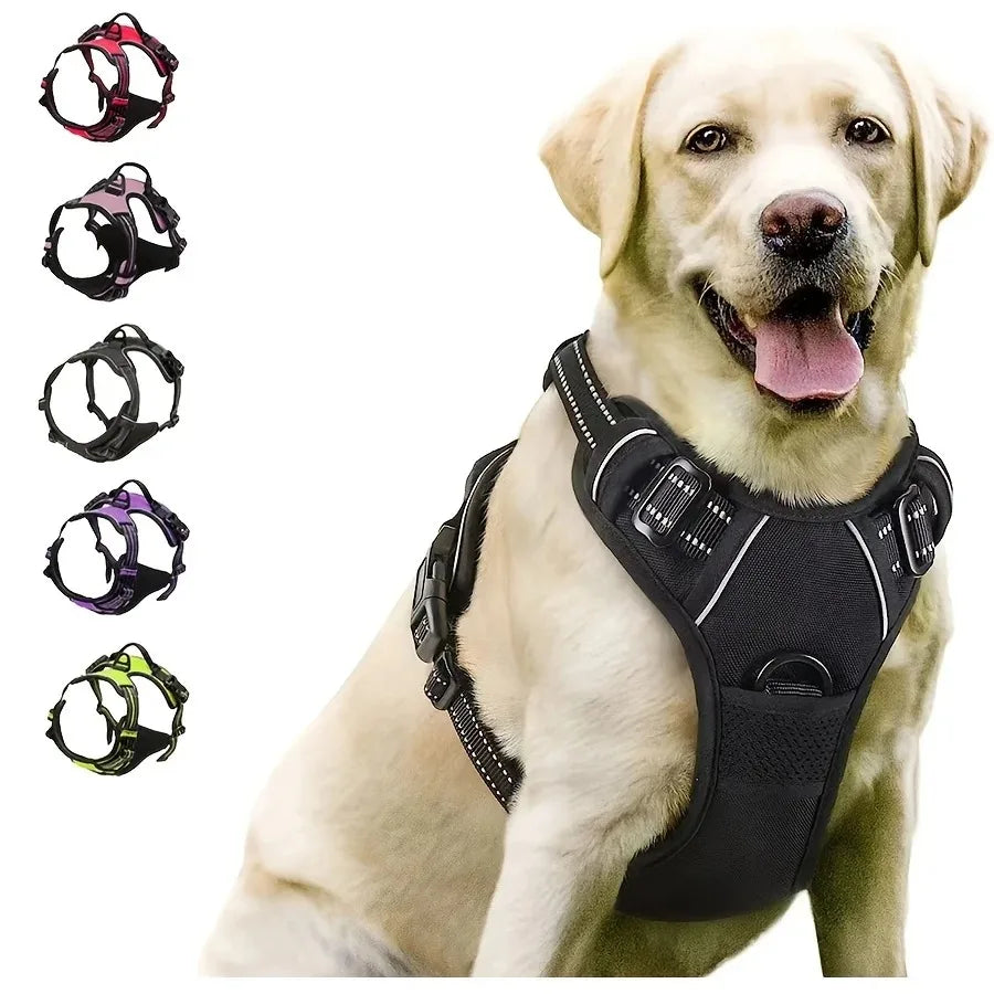 Leather Dog Collar, Harness & Leash Set — Puppy Accessories for Small & Medium Dogs
