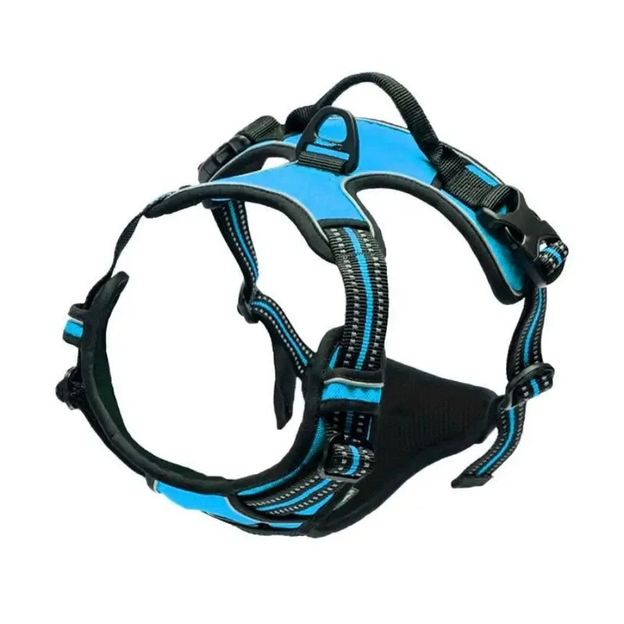 Leather Dog Collar, Harness & Leash Set — Puppy Accessories for Small & Medium Dogs
