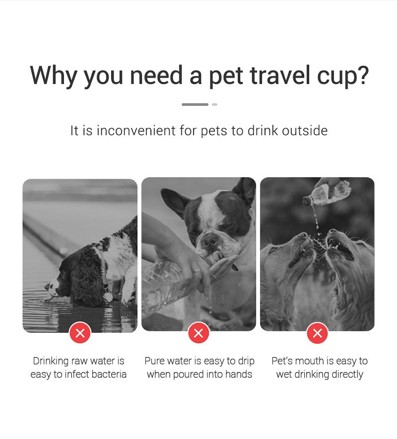 Portable Dog Water Bottle — Leakproof Walking Drinking Bowl for Cats & Dogs