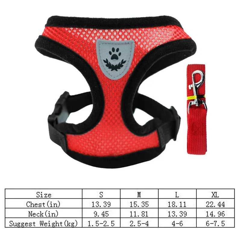 Breathable Pet Chest Harness & Leash — Outdoor Walking Strap for Dogs & Cats