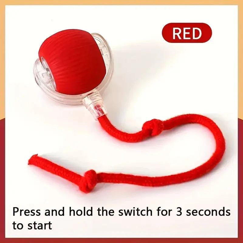 Automatic Electric Cat Ball Toy with Teaser Bird — Smart Sensor, USB Rechargeable