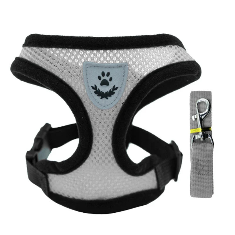 Breathable Pet Chest Harness & Leash — Outdoor Walking Strap for Dogs & Cats