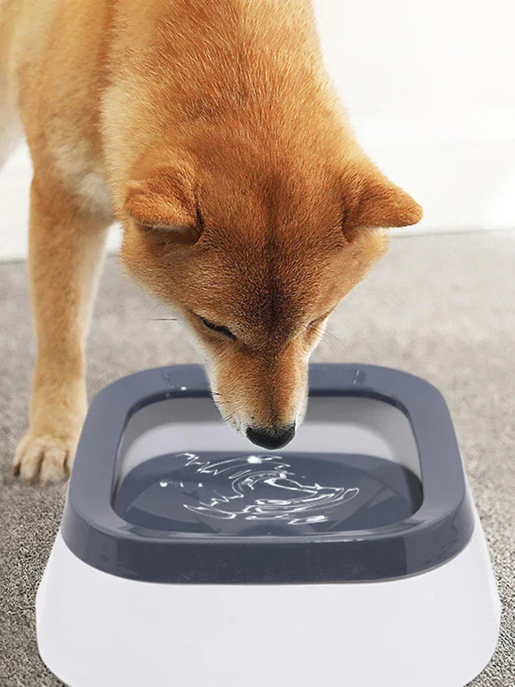 Outdoor Pet Water Bowl — Splash Proof & Spill Proof Car-Mounted Water Dispenser for Dogs & Cats