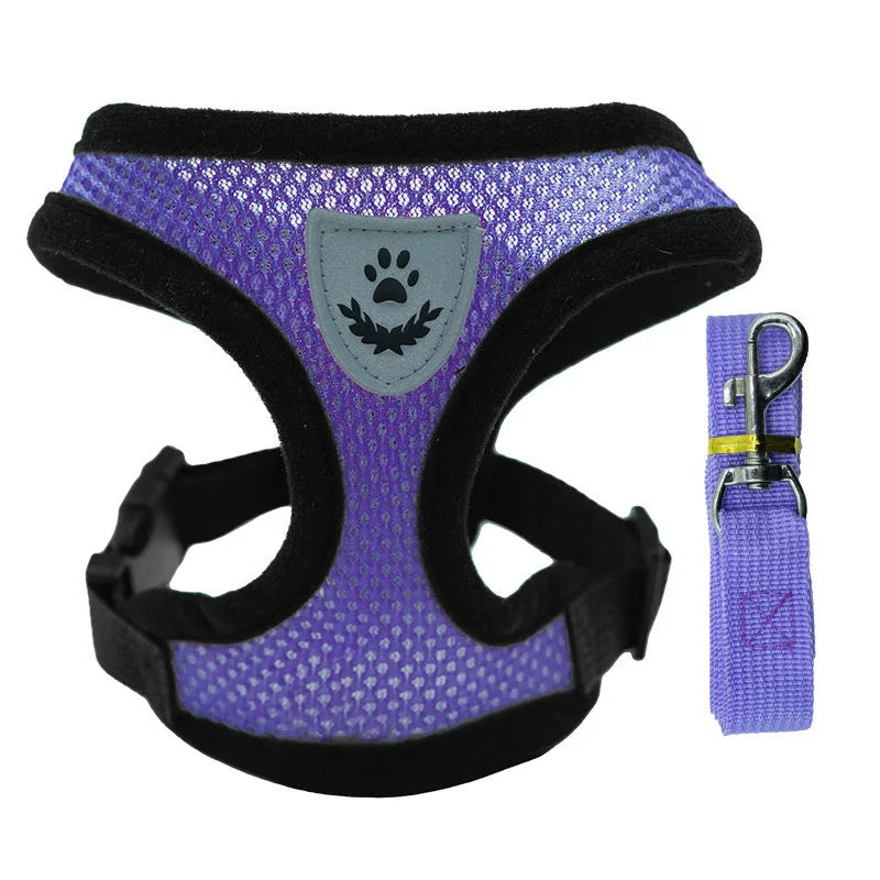 Breathable Pet Chest Harness & Leash — Outdoor Walking Strap for Dogs & Cats