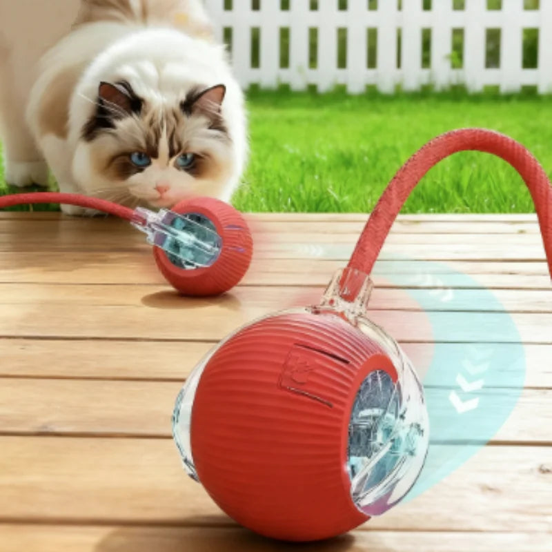 Automatic Electric Cat Ball Toy with Teaser Bird — Smart Sensor, USB Rechargeable