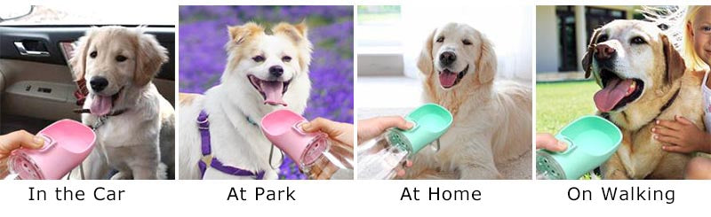 Portable Dog Water Bottle — Leakproof Walking Drinking Bowl for Cats & Dogs