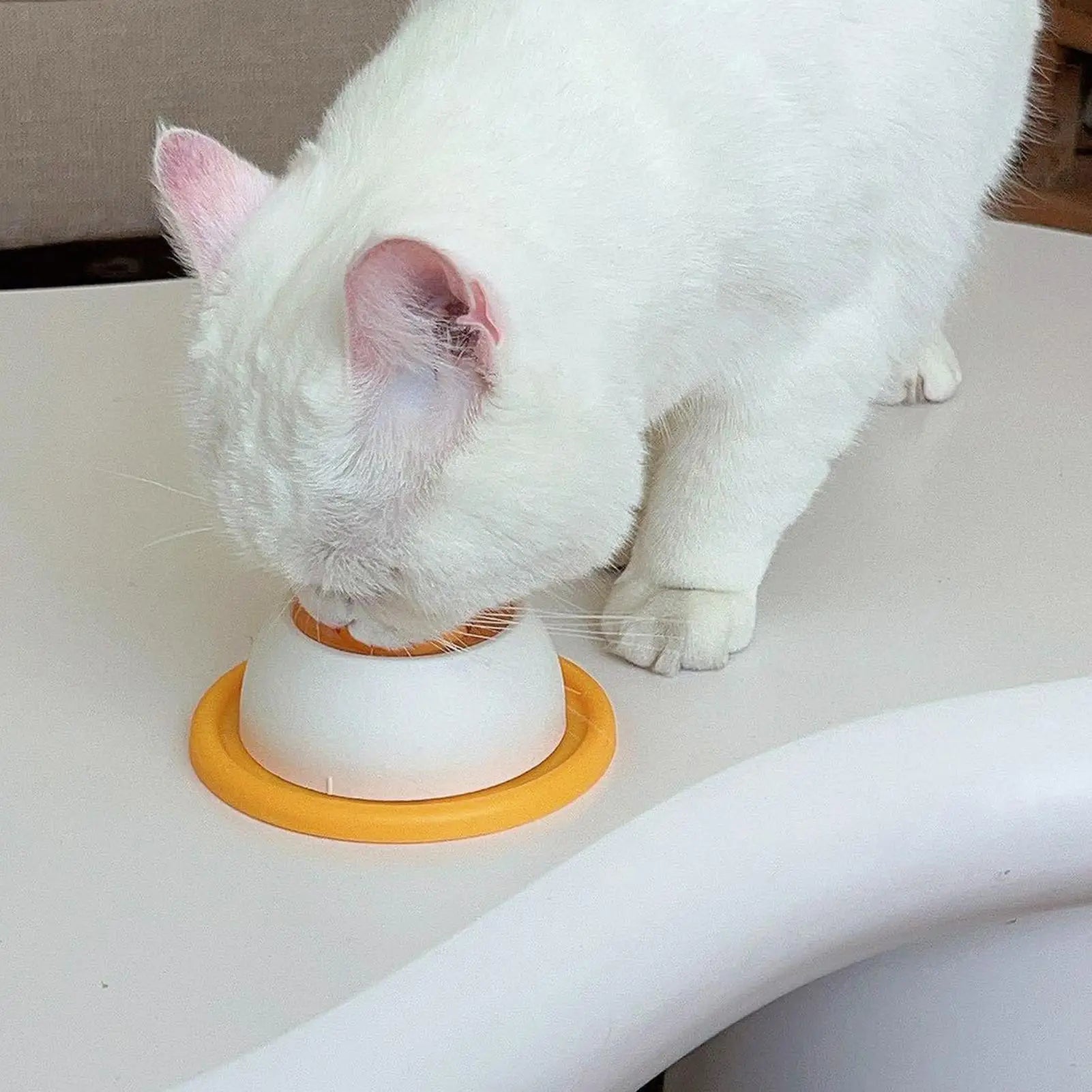 Pet Licking Bowl — Non-Slip Slow Feeder & Educational Lick Toy for Dogs & Cats