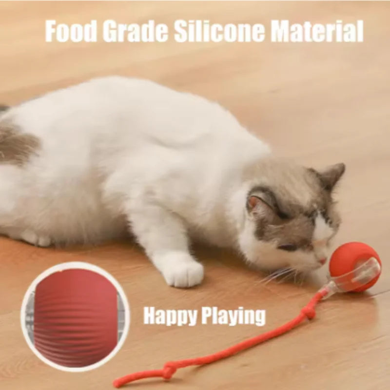 Automatic Electric Cat Ball Toy with Teaser Bird — Smart Sensor, USB Rechargeable