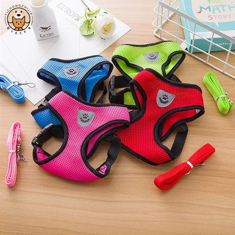 Breathable Pet Chest Harness & Leash — Outdoor Walking Strap for Dogs & Cats