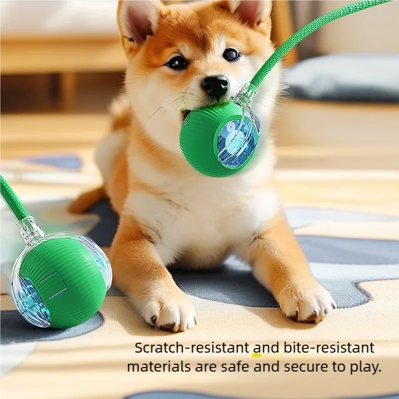 Automatic Electric Cat Ball Toy with Teaser Bird — Smart Sensor, USB Rechargeable