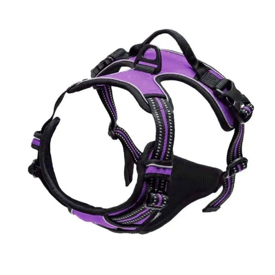 Leather Dog Collar, Harness & Leash Set — Puppy Accessories for Small & Medium Dogs