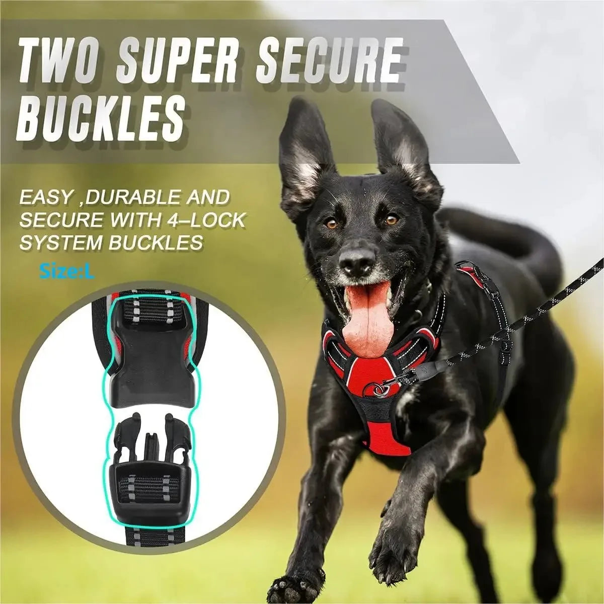 Leather Dog Collar, Harness & Leash Set — Puppy Accessories for Small & Medium Dogs