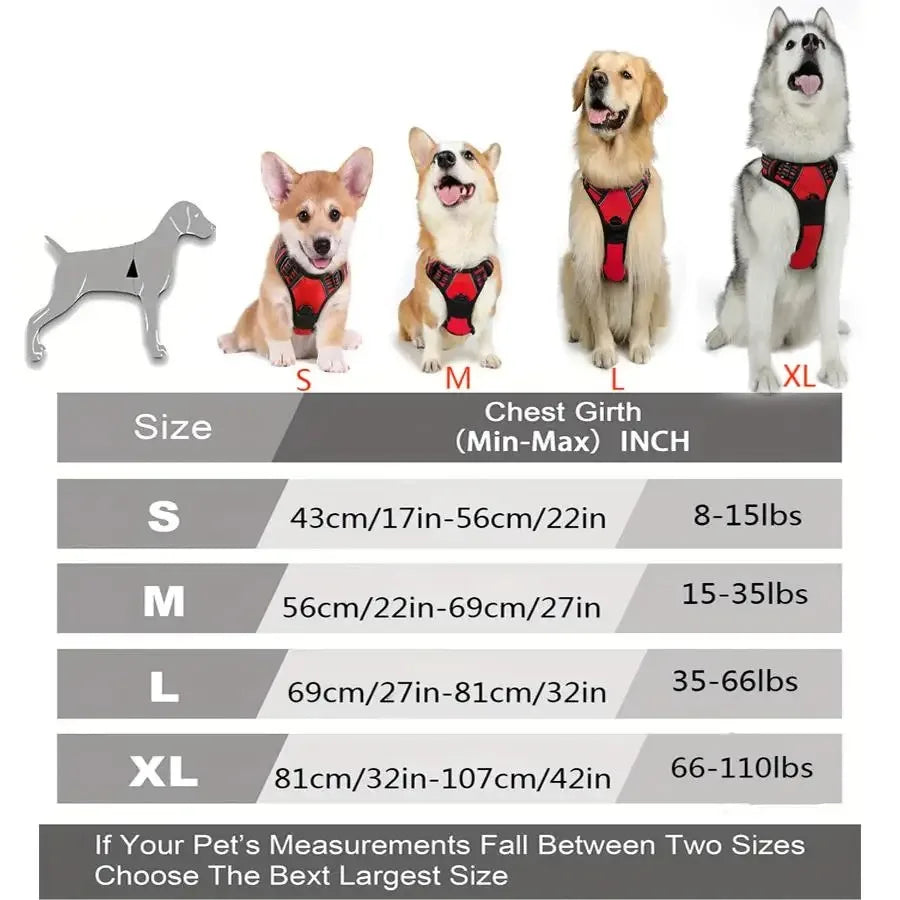 Leather Dog Collar, Harness & Leash Set — Puppy Accessories for Small & Medium Dogs