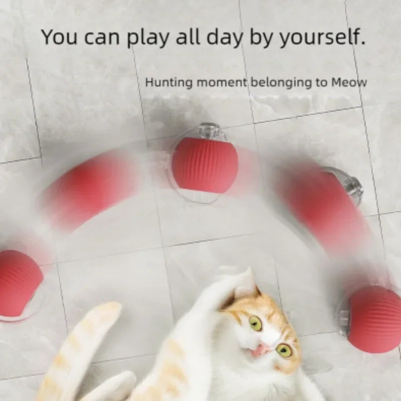 Automatic Electric Cat Ball Toy with Teaser Bird — Smart Sensor, USB Rechargeable