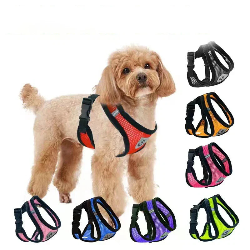 Breathable Pet Chest Harness & Leash — Outdoor Walking Strap for Dogs & Cats