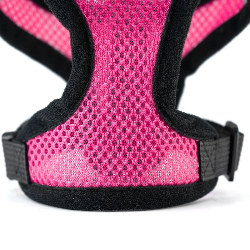 Breathable Pet Chest Harness & Leash — Outdoor Walking Strap for Dogs & Cats