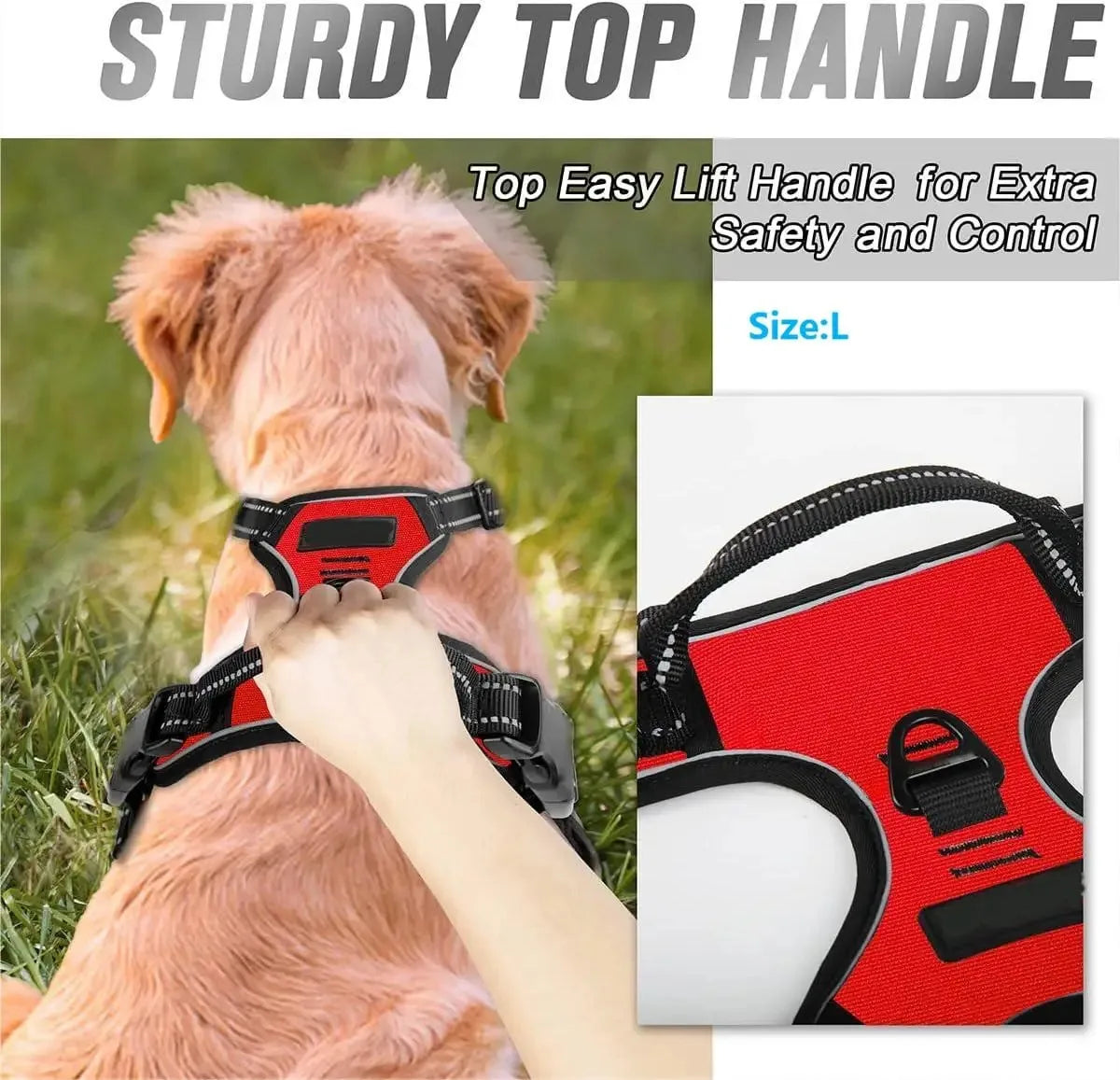 Leather Dog Collar, Harness & Leash Set — Puppy Accessories for Small & Medium Dogs