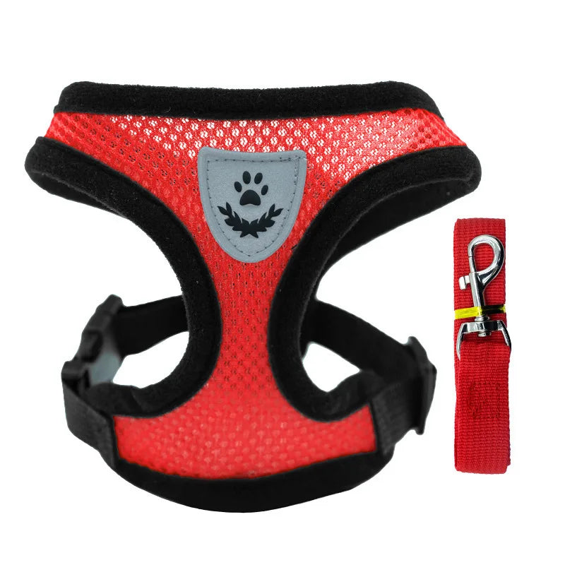 Breathable Pet Chest Harness & Leash — Outdoor Walking Strap for Dogs & Cats